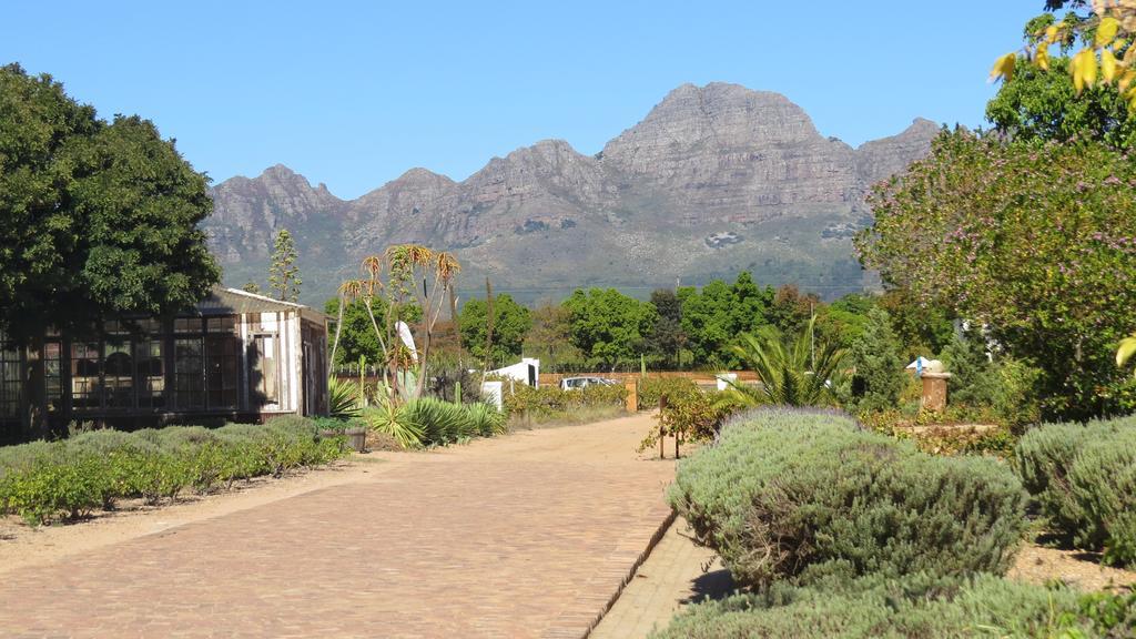 Apartmán De Oude Schuur Stellenbosch Pokoj fotografie