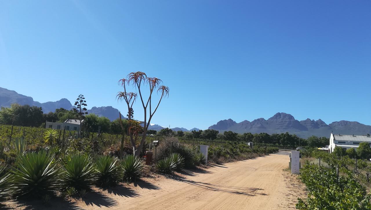 Apartmán De Oude Schuur Stellenbosch Exteriér fotografie
