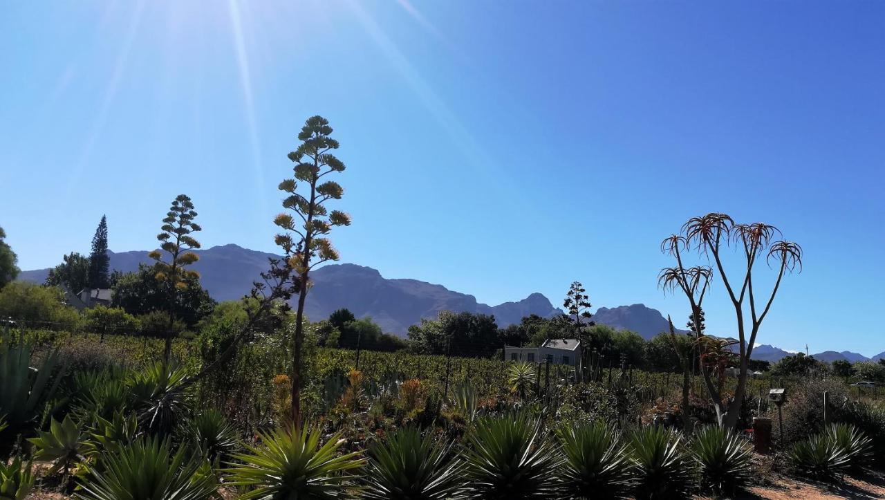 Apartmán De Oude Schuur Stellenbosch Exteriér fotografie
